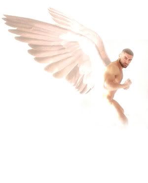 http://i33.photobucket.com/albums/d82/trunks8023/Rage_of_Angels_by_MontreauX.jpg?t=1267977798