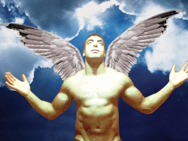 The_Angel_Fadi_by_drg.jpg picture by trunks8023