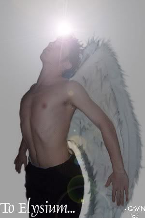 To_Elysium-.jpg picture by trunks8023