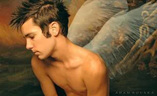 Wings-1.jpg picture by trunks8023