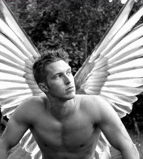 angelmale.jpg picture by trunks8023