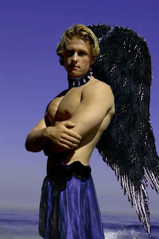 fallen_angel_by_drakator.jpg picture by trunks8023