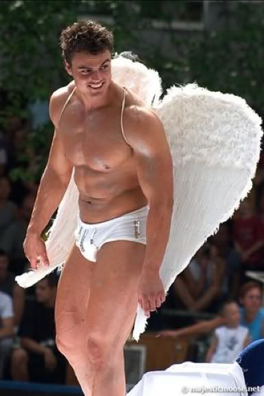 gay_pride_angel.jpg picture by trunks8023
