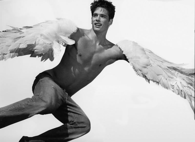 gayangels100.jpg picture by trunks8023