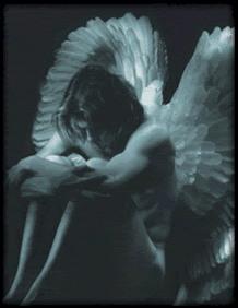 maleangel-4.gif picture by trunks8023