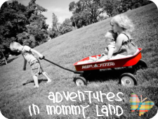 Adventures in Mommy Land