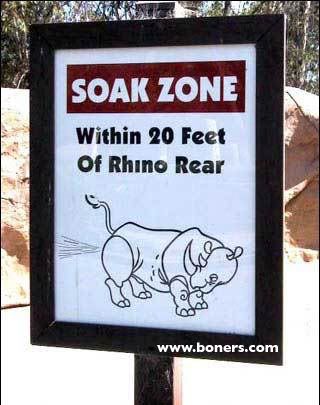 rino shit zone Pictures, Images and Photos