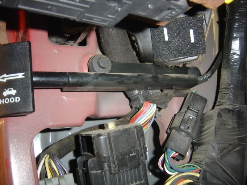 94-95 dash wiring guru needed | Ford Mustang Forums