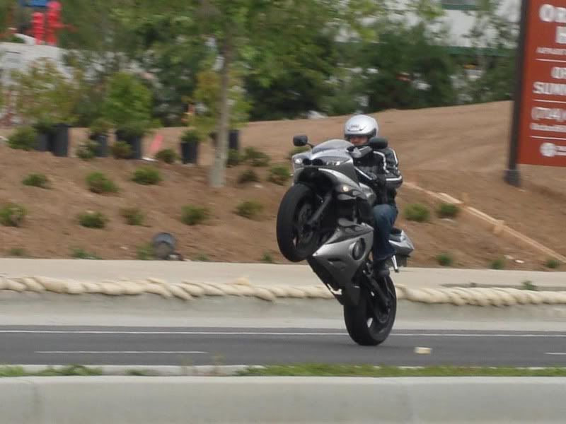 R6 Wheelie