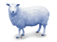 That little blue sheep after our pint competition...
