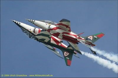 Alpha-Jet_AsasPortugal_2006-06_LEEU.jpg