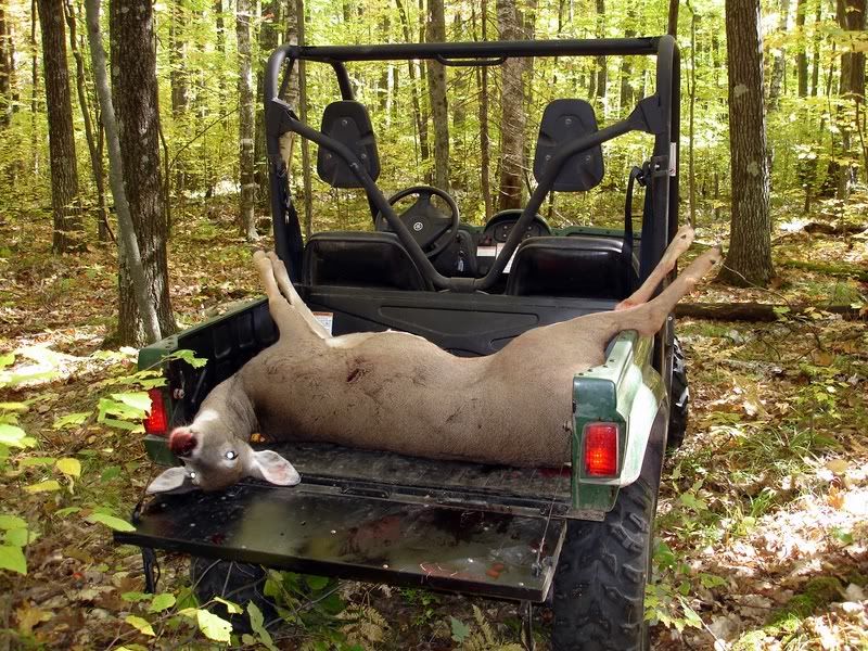 Getting your deer out of the woods? Archery Talk Forum