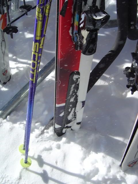 tailpeicesplittailorstandard.jpg