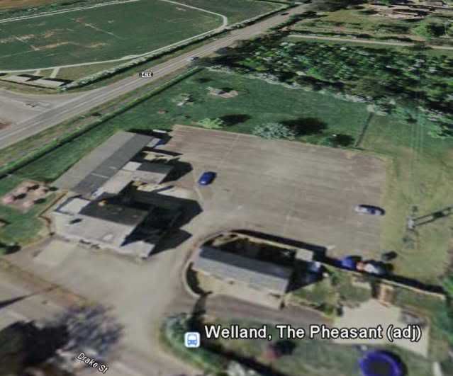 pheasantatwelland002.jpg