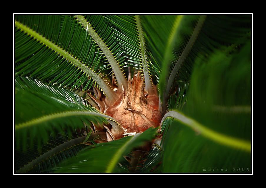 IMAGE: http://i33.photobucket.com/albums/d87/03whitecivic/IMG_0094copy.jpg