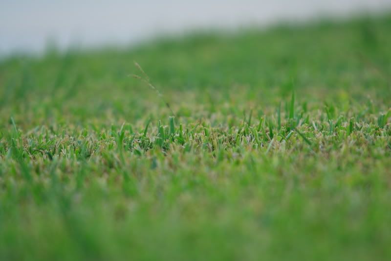 IMAGE: http://i33.photobucket.com/albums/d87/03whitecivic/IMG_4880.jpg