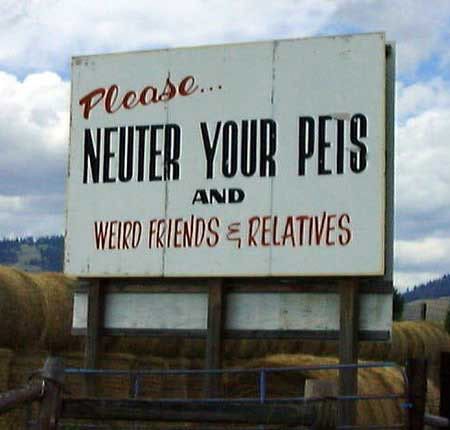 funny signs and billboards. Funny Signs/Billboards