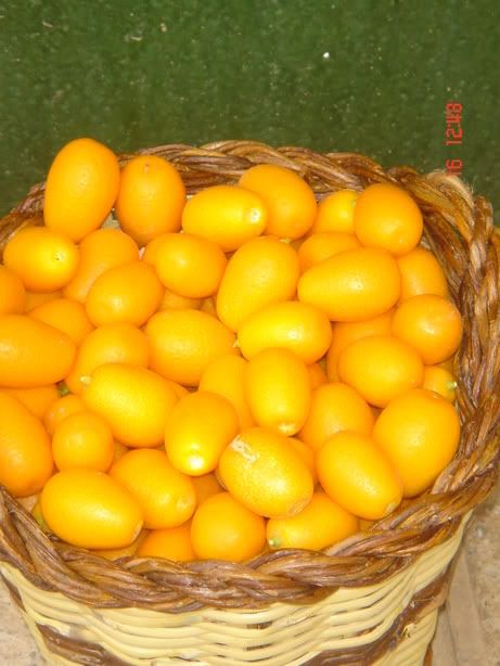 KUMQUAT FRUITS