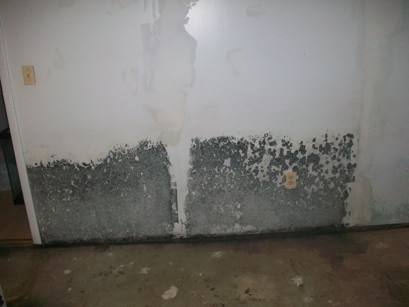 Black mold and renters rights??? Michigan Reefers