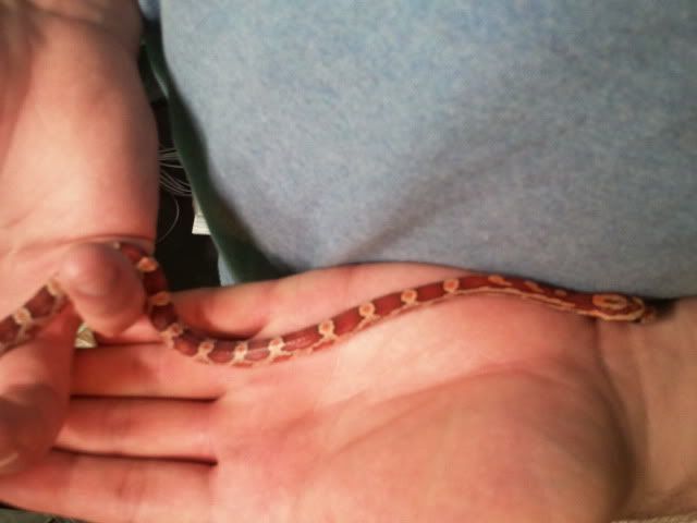 2011-05-23213856.jpg