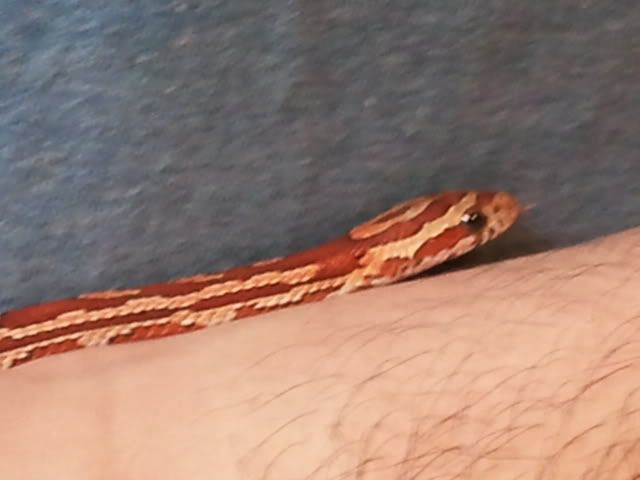 2011-05-23213911.jpg