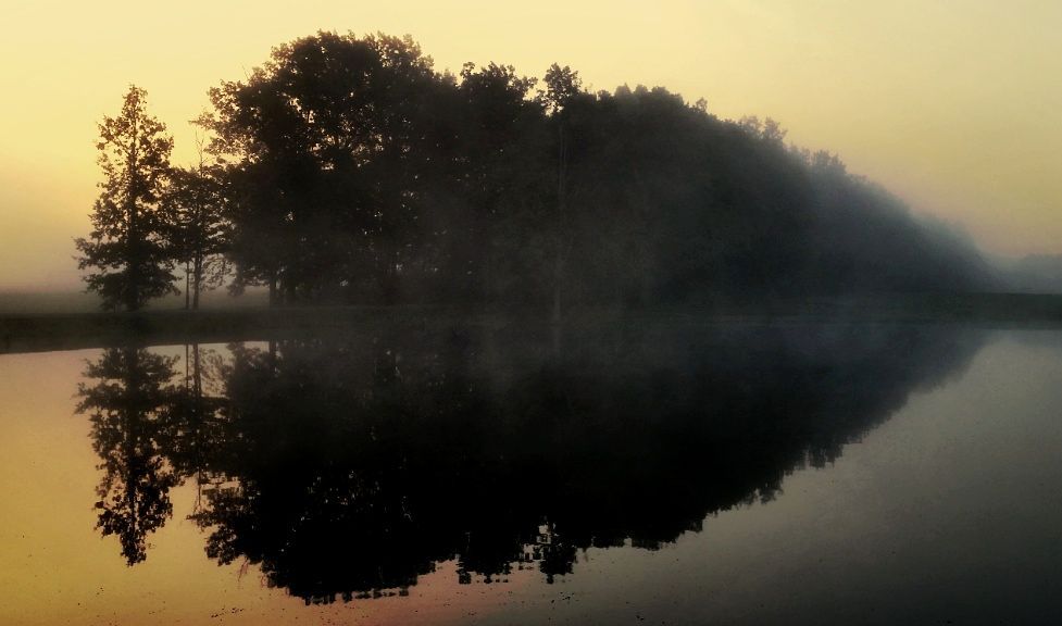 IMAGE: http://i33.photobucket.com/albums/d89/reeforbust/1_zpsf02e774d.jpg