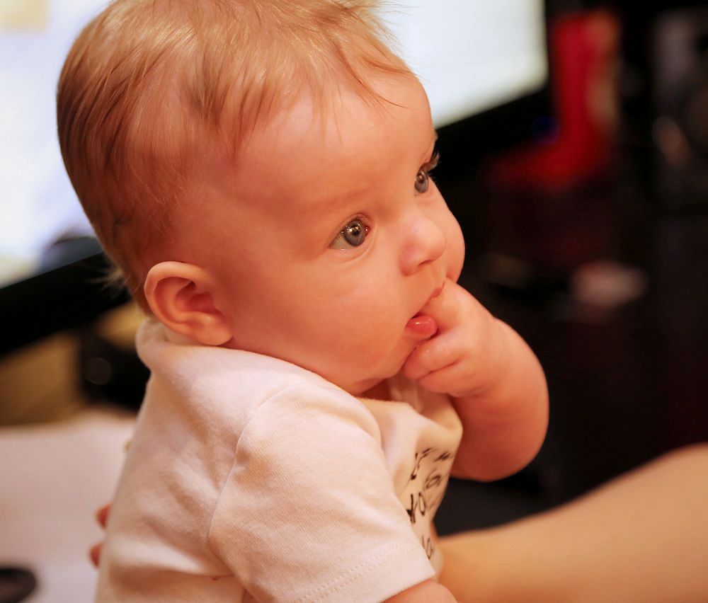 IMAGE: http://i33.photobucket.com/albums/d89/reeforbust/1a_zps8ec132e6.jpg