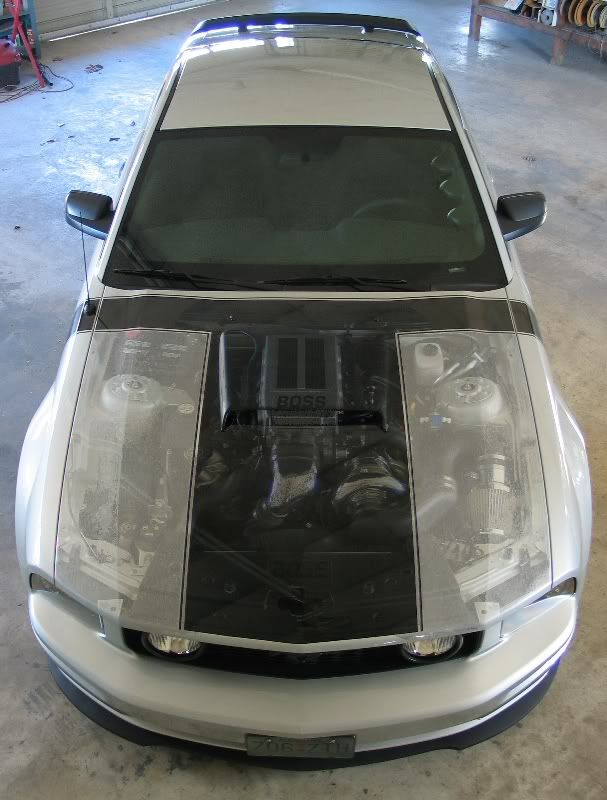 IMAGE: http://i33.photobucket.com/albums/d89/reeforbust/2006%20Mustang%20GT/smhood.jpg