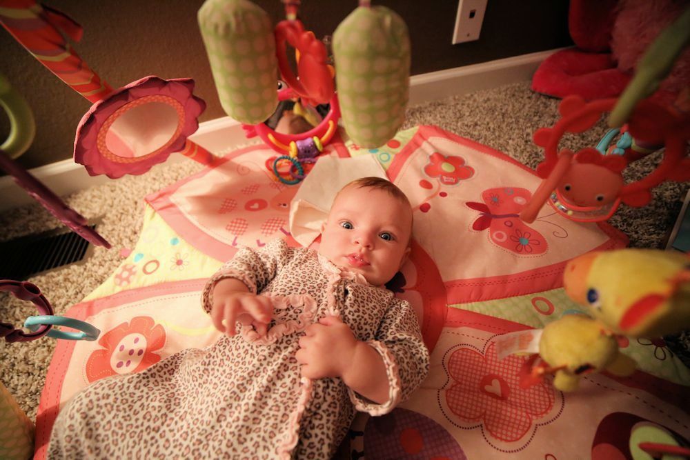 IMAGE: http://i33.photobucket.com/albums/d89/reeforbust/2a_zpsf41c5006.jpg