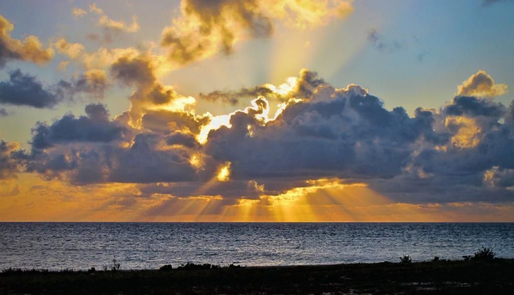 IMAGE: http://i33.photobucket.com/albums/d89/reeforbust/IMG_1364_zpsbb591abe.jpg