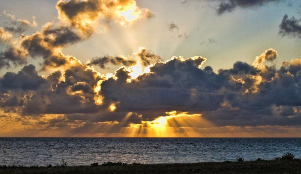 IMAGE: http://i33.photobucket.com/albums/d89/reeforbust/IMG_1366_zps7e2cbbe1.jpg