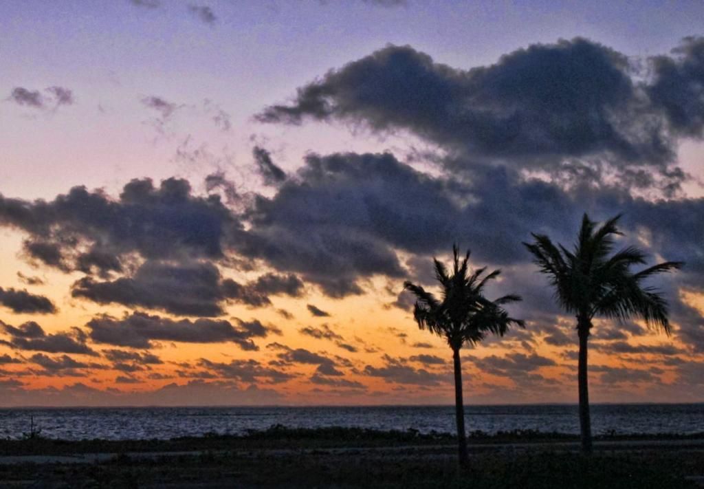 IMAGE: http://i33.photobucket.com/albums/d89/reeforbust/IMG_1446_zps221c9c6b.jpg