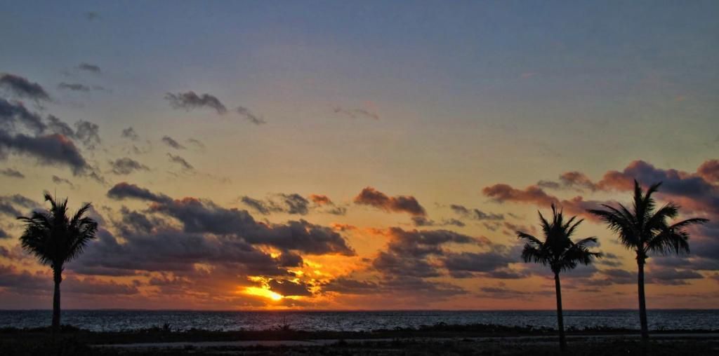 IMAGE: http://i33.photobucket.com/albums/d89/reeforbust/IMG_1468_zps90ed160d.jpg