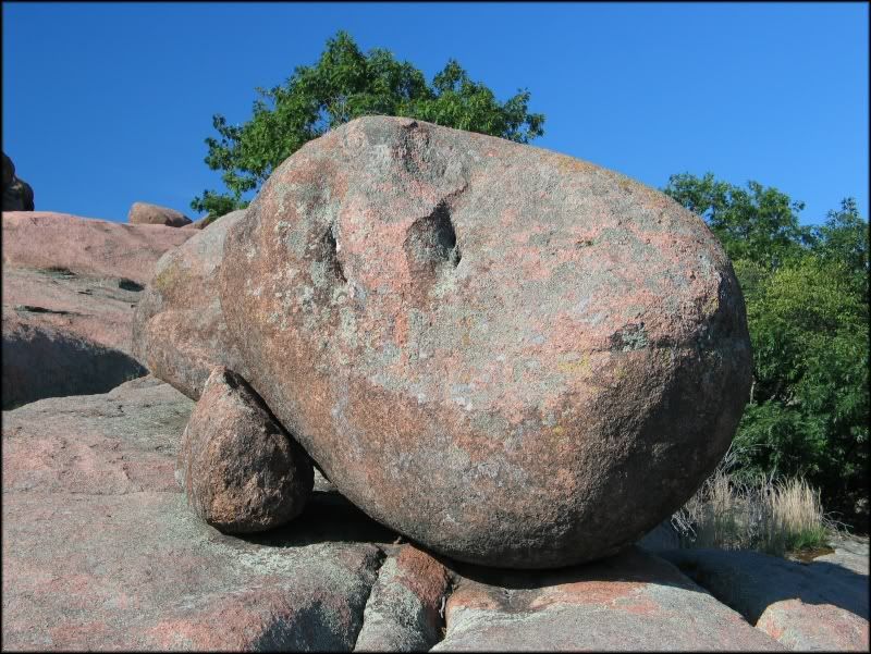 IMAGE: http://i33.photobucket.com/albums/d89/reeforbust/MISC/rocknroll.jpg