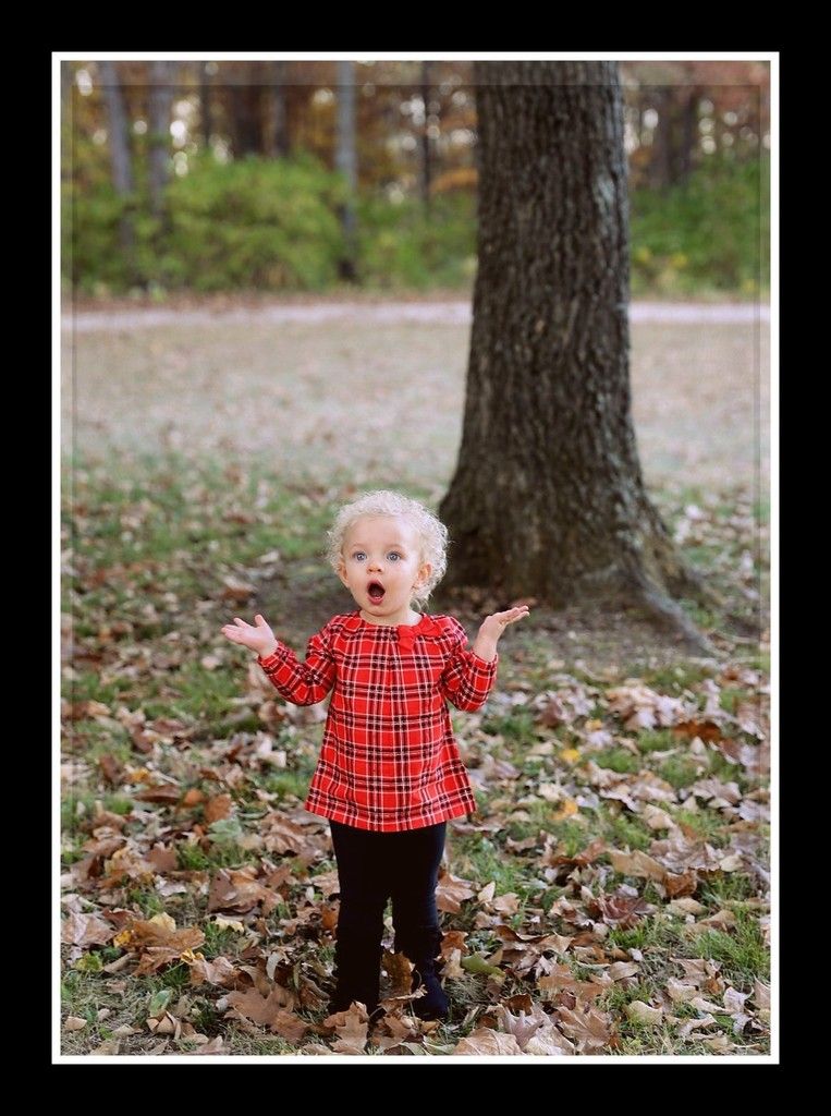 IMAGE: http://i33.photobucket.com/albums/d89/reeforbust/PicsArt_10-22-11.27.54_zpsyywb5lfa.jpg