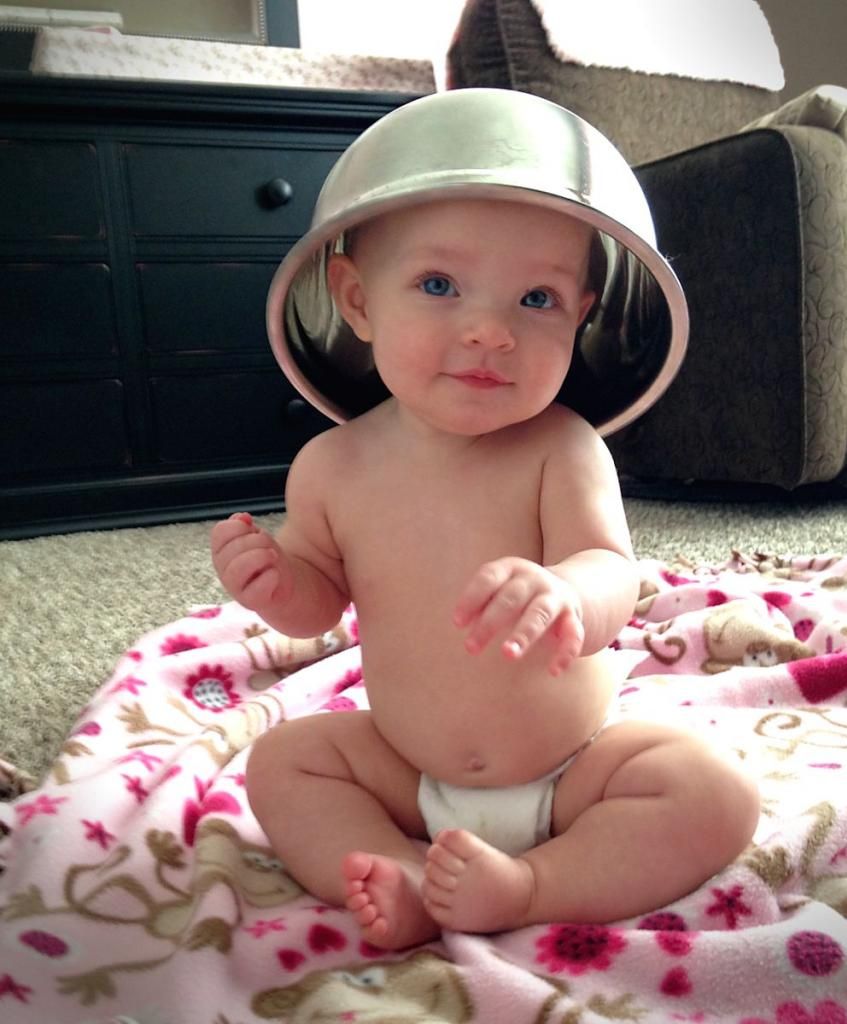 IMAGE: http://i33.photobucket.com/albums/d89/reeforbust/Riley/1_zpsa41aa83f.jpg