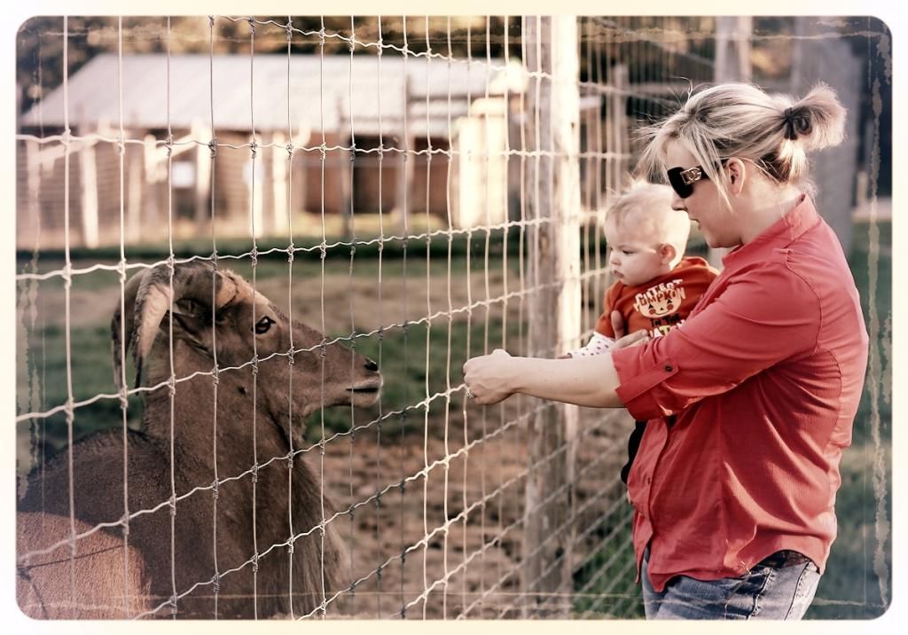 IMAGE: http://i33.photobucket.com/albums/d89/reeforbust/Riley/3d79f292-adca-4c37-b793-f62ac9b4ae4b_zpsebbb8fb8.jpg