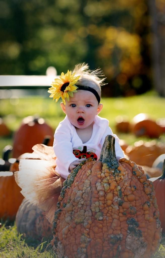 IMAGE: http://i33.photobucket.com/albums/d89/reeforbust/Riley/IMG_1553_zps469f02d1.jpg