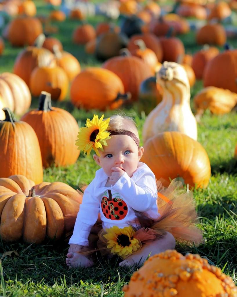 IMAGE: http://i33.photobucket.com/albums/d89/reeforbust/Riley/IMG_1564_zps694abdc3.jpg