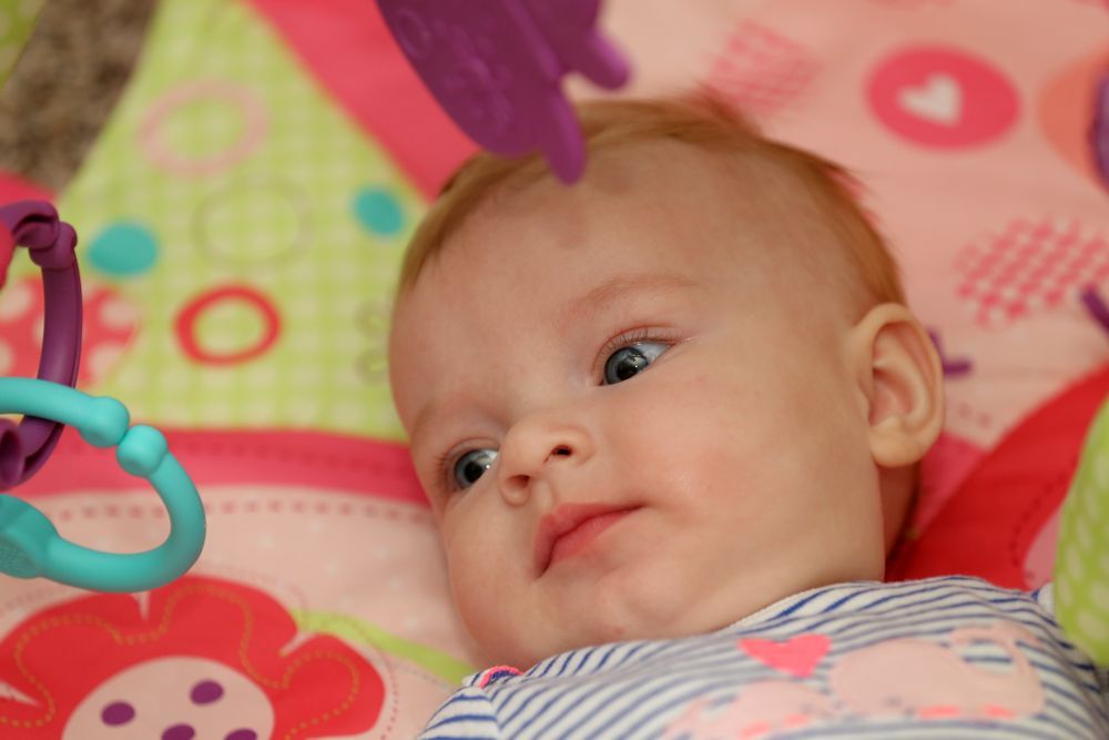 IMAGE: http://i33.photobucket.com/albums/d89/reeforbust/a_zpsa018c0fc.jpg