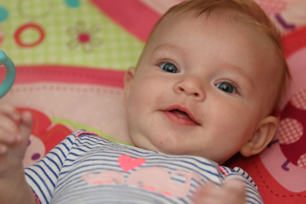 IMAGE: http://i33.photobucket.com/albums/d89/reeforbust/b_zps542740b7.jpg