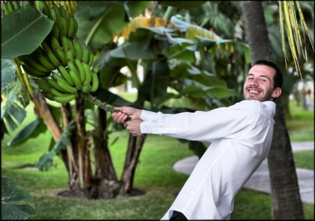 IMAGE: http://i33.photobucket.com/albums/d89/reeforbust/sha3_zpsdcf10b9d.jpg