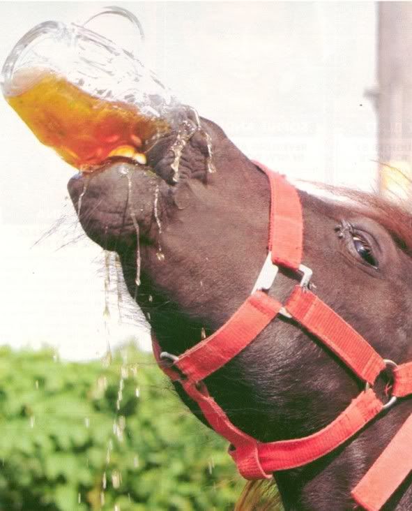 DrinkingHorse.jpg