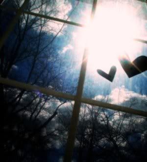 sunny window hearts Pictures, Images and Photos