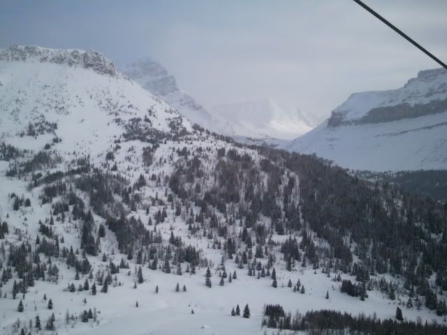 2011-03-05093602.jpg