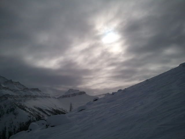 2011-03-05094544.jpg
