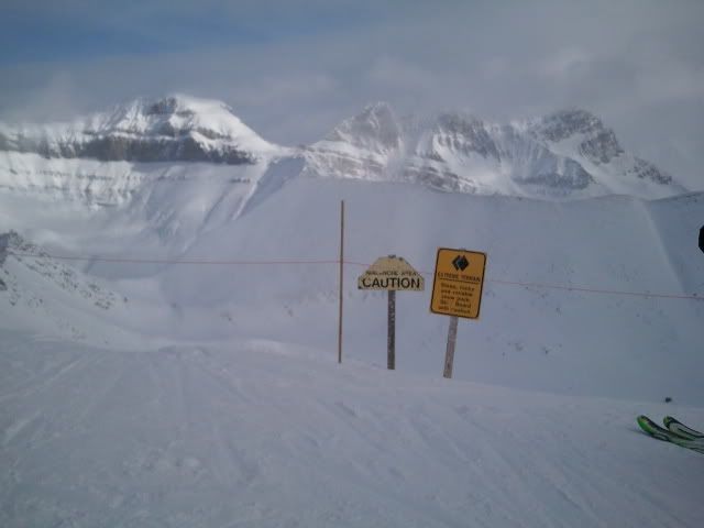 2011-03-05102251.jpg