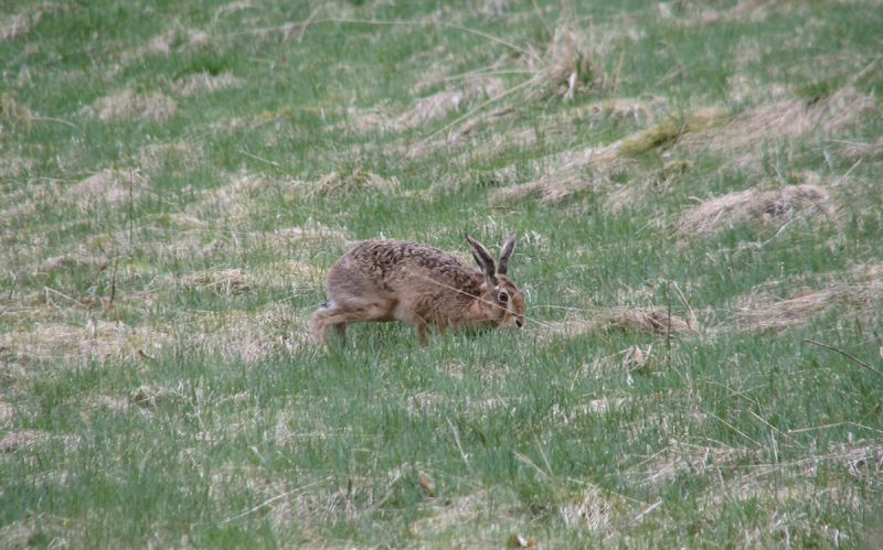 IMAGE: http://i33.photobucket.com/albums/d91/kawwauser/IMG_3805.jpg