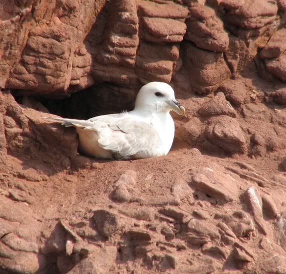 IMAGE: http://i33.photobucket.com/albums/d91/kawwauser/IMG_3947.jpg