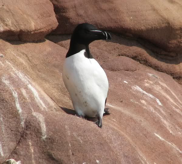 IMAGE: http://i33.photobucket.com/albums/d91/kawwauser/IMG_3998.jpg